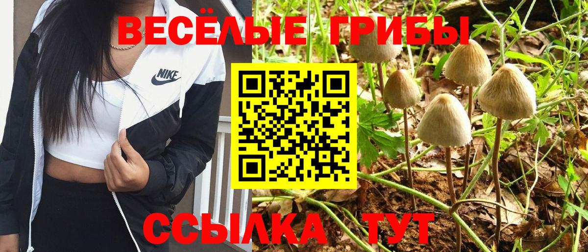 Галлюциногенные грибы Psilocybine cubensis Балашов