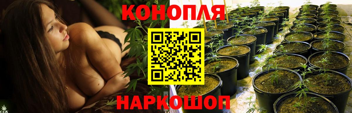 Бошки Шишки LSD WEED Балашов